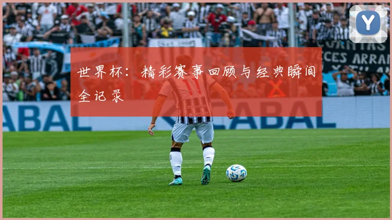世界杯:精彩赛事回顾与经典瞬间全记录