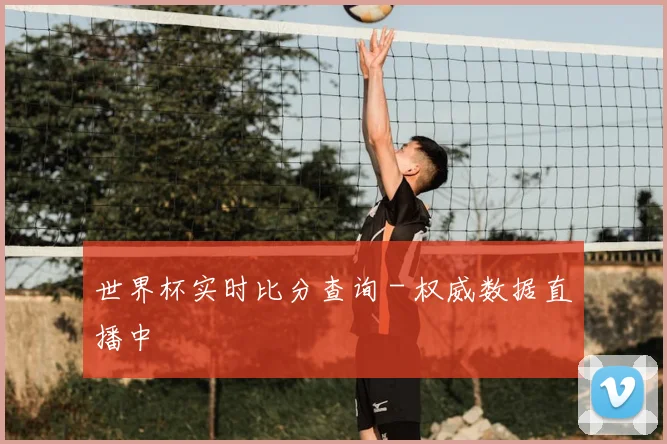 世界杯实时比分查询 - 权威数据直播中