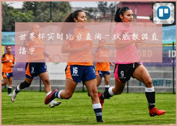 世界杯实时比分查询 - 权威数据直播中