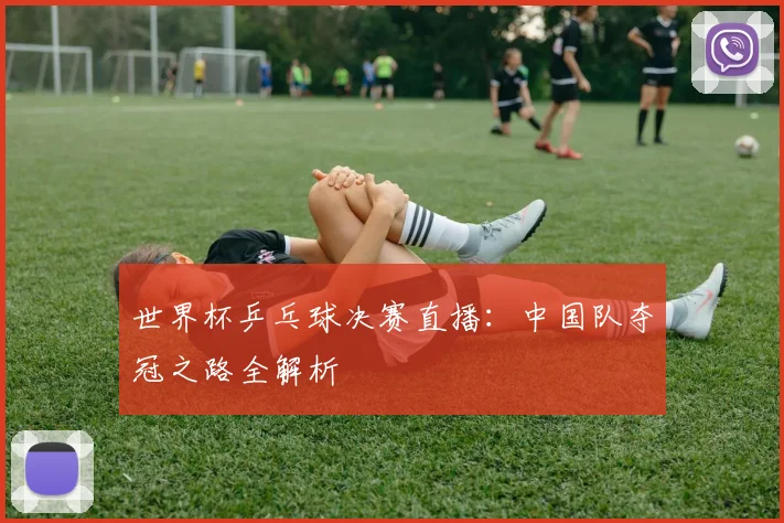 世界杯乒乓球决赛直播：中国队夺冠之路全解析