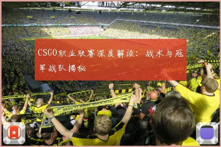 CSGO职业联赛深度解读：战术与冠军战队揭秘